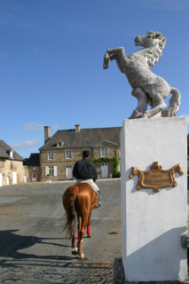 France, Basse Normandie, Manche, pays de saint lo, florian angot, cavalier international, selectionne olympique 2004, first de launay, etalon du haras national de saint lo, cheval, hippisme, selle fra...