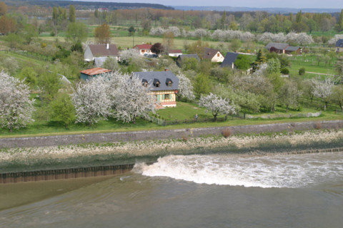 France, Haute Normandie, Seine Maritime, vallee de la Seine, jumieges, paysage, pommiers, vague laissee par un cargo sur le fleuve, berge,