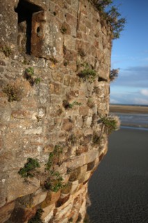 France, Basse Normandie, Manche, pays de la baie du Mont-Saint-Michel, le Mont-Saint-Michel, remparts, maree basse,