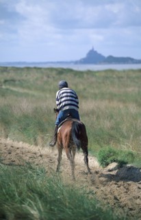 France, Basse Normandie, Manche, pays de la baie du Mont-Saint-Michel, dragey, cheval a l'entrainement dans les dunes,