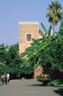 Afrique, maroc, marrakech, jardin, 
palais de la Bahia, oasis, fontaine, palmiers,