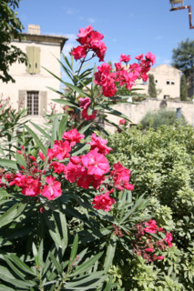 France, uzes