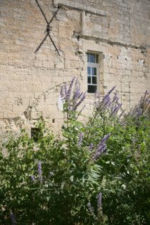 France, uzes