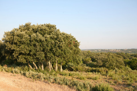 France, trail