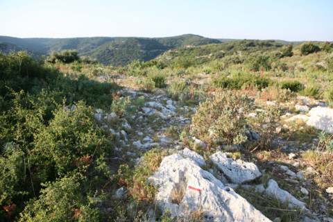 France, trail