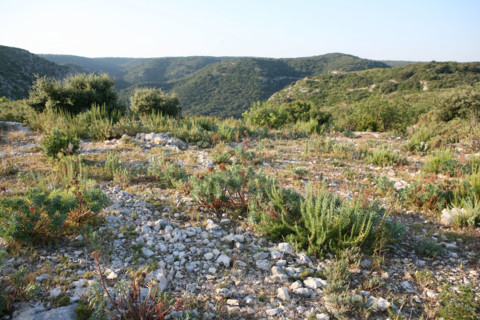 France, trail