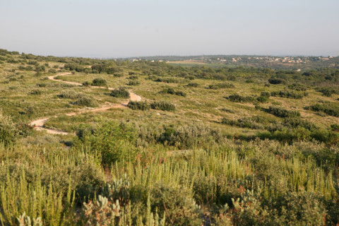 France, trail