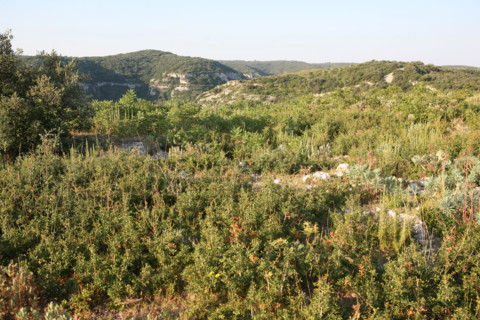 France, trail