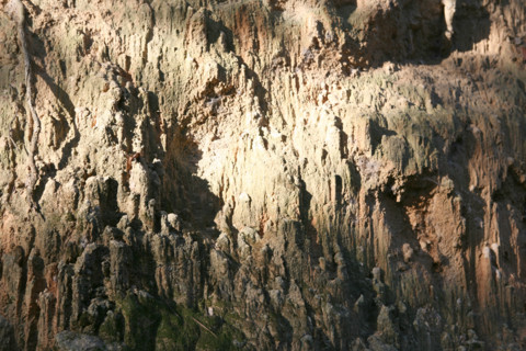 France, collias