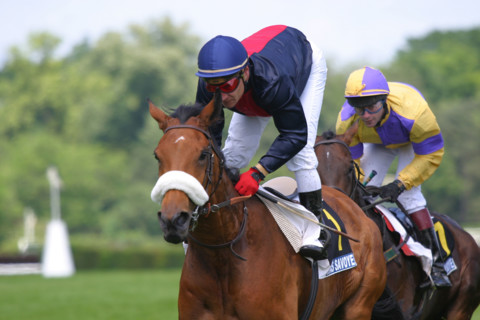 France, ile de france, paris 16e, hippodrome d'auteuil, course d'obstacles, gras savoye grand steeple-chase de paris 2004, jockey, cheval, prix, pur sang, cheval, hippisme, turf, christophe pieux,