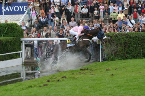 France, ile de france, paris 16e, hippodrome d'auteuil, course d'obstacles, gras savoye grand steeple-chase de paris 2004, jockey, cheval, prix, pur sang, cheval, hippisme, turf,