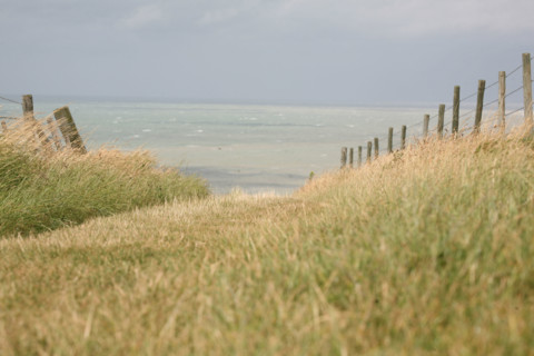 France, ault