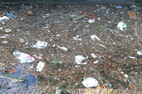 France, hauts de seine, boulogne billancourt, la seine, pollution, environnement, detritus, dechets, environnement, developpement durable, eau,