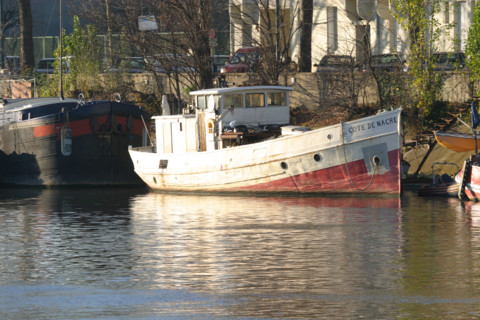 France, l'ile seguin