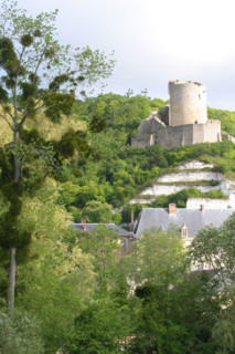 France, ile de france, val d'oise, la roche guyon, la seine, chateau, monument historique, architecture defensive, donjon, berges du fleuve