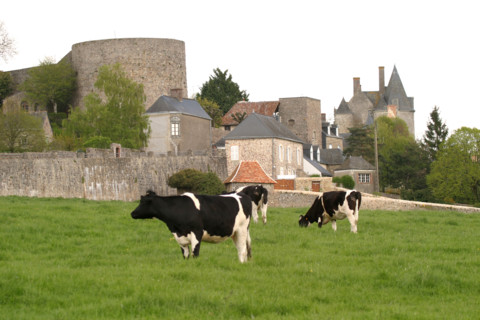 France, pays de loire, mayenne, sainte suzanne, village, forteresse sainte anne, place forte, panorama, habitat traditionnel, maisons, vaches, champ, pre, elevage bovin, agriculture,