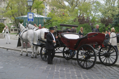 europe, Hongrie, budapest, caleches pres du chateau, Buda, chevaux, promenade touristique,