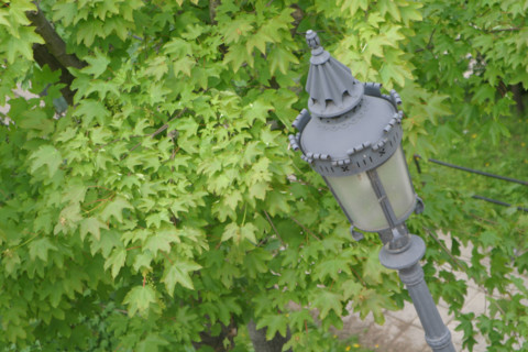 europe, Hongrie, budapest, pres du bastion des pecheurs, lampadaire, arbres,