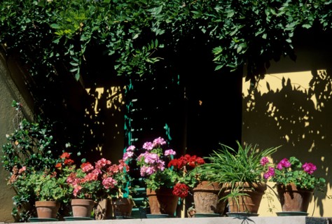 Italie, toscane, florence, firenze, fiesole, balcon, terrasse, pots de fleurs, decoration, jardin,
