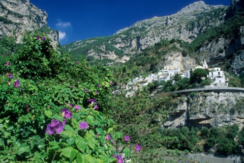 Italie, sud, cote amalfitaine, positano, station balneaire a flanc de coteau, fleurs maisons, montagne,