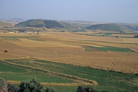 Italie, sardaigne, barumini, paysage, champs, agriculture, vue d'ensemble, monts,