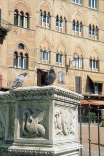 Italie, toscane, sienne, piazza del campo, place, campanile, palais public, sculpture, pigeons,