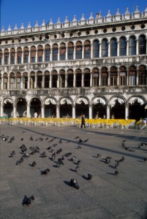 Italie, venise, place san marco, saint marc, pigeons, procuraties, arcades, habitat traditionnel,