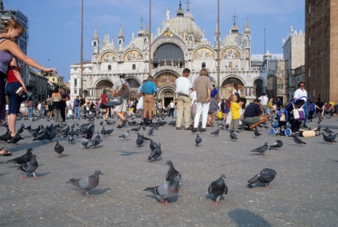 Italie, venise, place san marco, saint marc, pigeons, touristes, basilique san marco, edifice religieux,