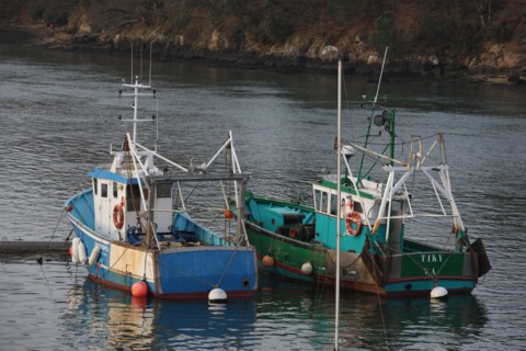france, Bretagne, Morbihan, golfe du Morbihan, sene, port anna, bateaux, barques, peche, mouillage, coque, chalutiers,