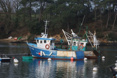 france, Bretagne, Morbihan, golfe du Morbihan, sene, port anna, bateaux, barques, peche, mouillage, coque, chalutier,
