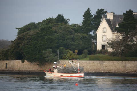 france, Bretagne, Morbihan, golfe du Morbihan, sene, port anna, bateaux, barques, peche, mouillage, coque, caseyeur,