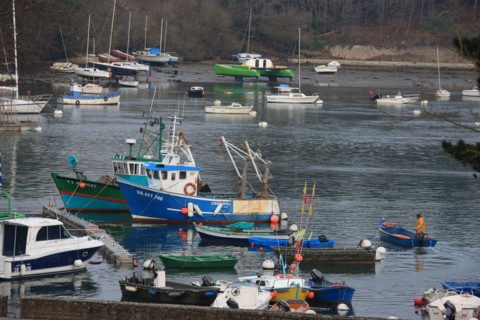 france, Bretagne, Morbihan, golfe du Morbihan, sene, port anna, bateaux, barques, peche, mouillage, coque, voiliers,