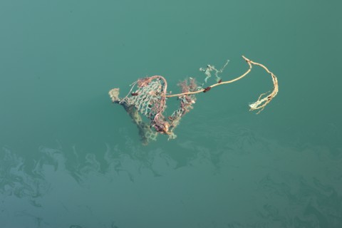 France, region nord, pas de calais, boulogne sur mer, port de plaisance, bassin Napoleon, pollution, environnement, vieux cordage, filets, gazole,