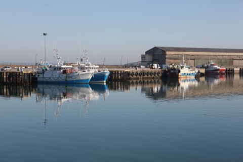 France, region nord, pas de calais, boulogne sur mer, port, halle a maree, chalutiers,
