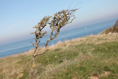 France, cote d'opale