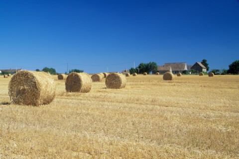 France, region pays de loire, sarthe, sud, agriculture, champ, paille, roundballers, ferme,