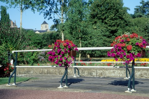 France, region pays de loire, sarthe, riviere, solesmes, ecluse, fleurs, eglise, abbaye,