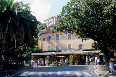 France, region paca, var, village de bormes les mimosas, maisons, tuiles, route, palmiers, cafe,