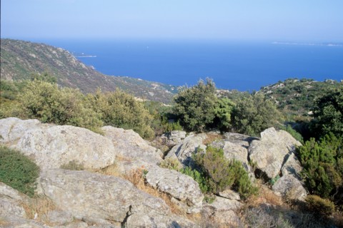 France, region paca, var, route des cretes, massif des maures, cap, rochers, garrigue,