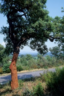 France, crest road