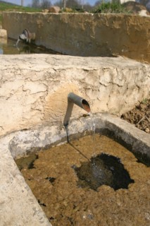 France, region picardie, oise, elincourt sainte marguerite, eau, environnement, ecologie, developpement durable, nature, source qui coule pres du lavoir reconstitue en 2003,