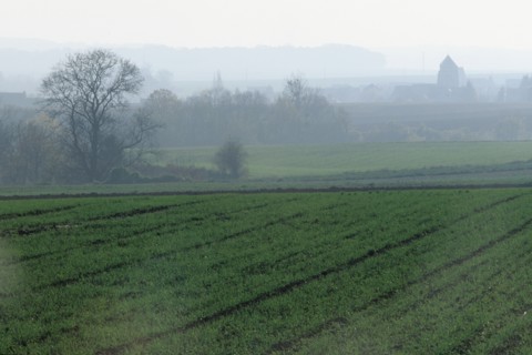 France, region picardie, paysage du valois, agriculture, automne, champs, brume, arbres, sillons,