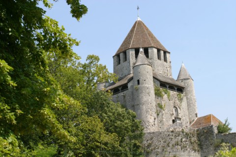 France, region ile de france, seine et marne, provins, cite medievale, tour cesar, rempart, butte, fortifications,