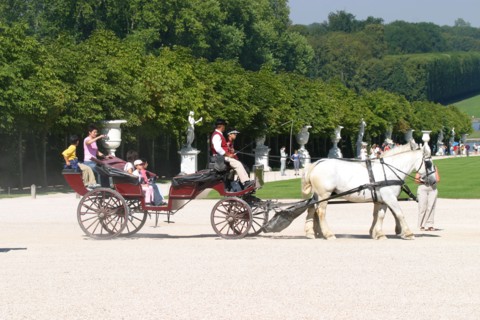 France, region ile de france, yvelines, versailles, parc du chateau, caleche, promenade, touristes, chevaux, grandes eaux de versailles, spectacle, fontaines, jets d'eau, sculpture, statues, jets d'ea...