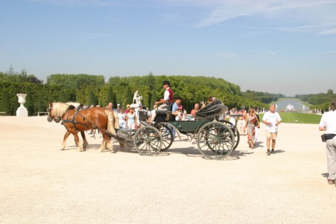 France, region ile de france, yvelines, versailles, parc du chateau, caleche, promenade, touristes, chevaux, grandes eaux de versailles, spectacle, fontaines, jets d'eau, sculpture, statues, jets d'ea...