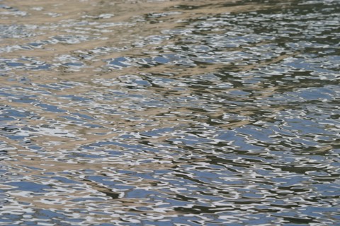 France, region ile de france, yvelines, mantes la jolie, seine, effet de lumiere sur l'eau,