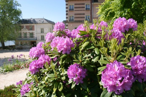 France, chatou