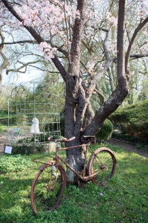 France, Haute Normandie, eure, vallee de la seine, giverny, ancien hotel baudy, restaurant, auberge, claude monet, jardin, fleurs, impressionnistes, peinture, jardin, arbres en fleurs, velo rouille, s...