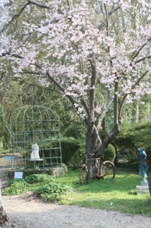 France, Haute Normandie, eure, vallee de la seine, giverny, ancien hotel baudy, restaurant, auberge, claude monet, jardin, fleurs, impressionnistes, peinture, jardin, arbres en fleurs, velo rouille, s...