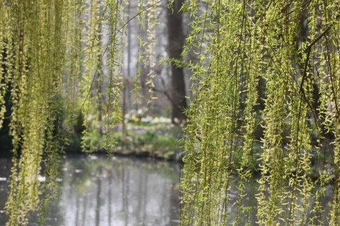France, vallee de la seine